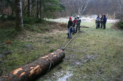 Log Pull