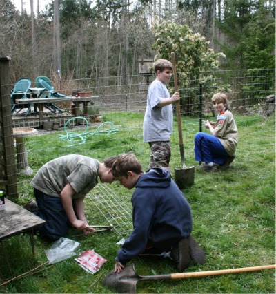 Fence Building Service Project